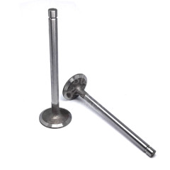 Клапан выпускной R010002Y