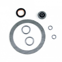 Комплект ремонтный для Бинар-5S (сб.3673) / Адверс