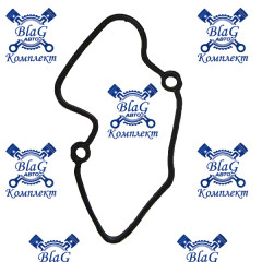 Прокладка клапанной крышки  А4570160221,713486710