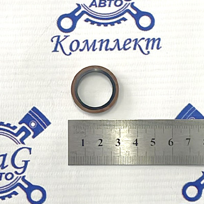 Шайба медная-обрезиненная Ф20 топливной системы двигателя WCR20