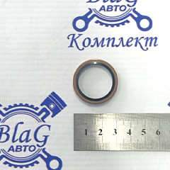 Шайба медная-обрезиненная Ф24 топливной системы двигателя WCR24