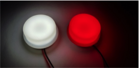 Фонарь габаритный ФГ-14-06LED неоновый (10 диодов) (ТАС)