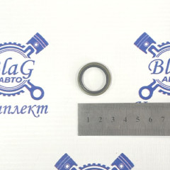 Шайба обрезиненная Ф-20 топливной системы двигателя / 16672