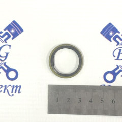 Шайба обрезиненная Ф-24 топливной системы двигателя / 16855