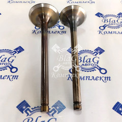 Клапана (к-т из 2-х впускной + выпускной) / ПАО КАМАЗ 7406-1007010/015