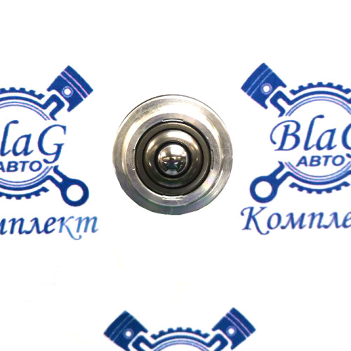 Плунжер (фиксатор) F-231621 ZF9S / 0501318597, 95535758