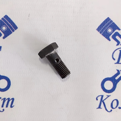 Болт штуцер М8х1 (17379)