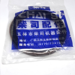 Сальник коленвала задний 100х125х12, TDK 48 4LT