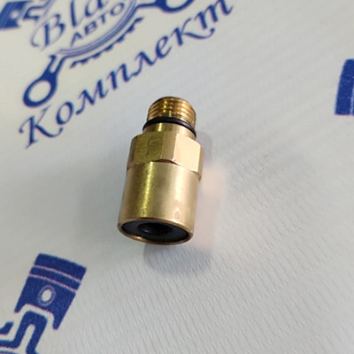 Фитинг прямой Ф6-М10х1,0 (52-9512-068002)