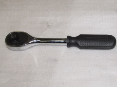 Трещетка средняя