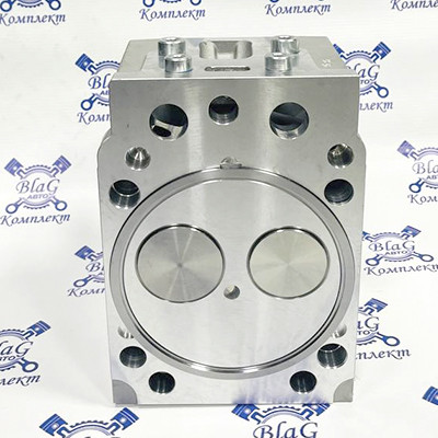 Головка блока с клапанами  / КАМАЗ 740-1003010-20 (АМ)
