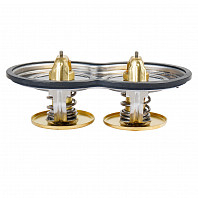 Термостат для а/м Scania 5 (P, G, R-series) (03-) (80/87°C) (2 термоэл. в одной плоск.) (LT 2705)