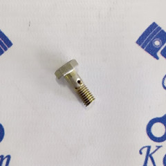 Болт штуцер М6х1 (17011)