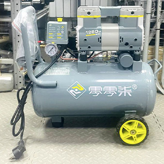 Компрессор роторный 220В. (1-мотор, ресивер 30л.)