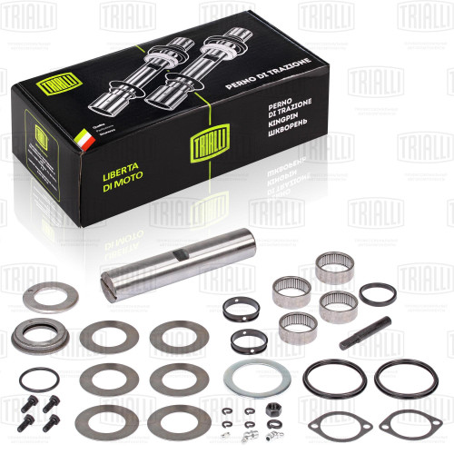 Ремкомплект поворотного кулака для а/м КамАЗ 53205 ЕВРО (кмпл. 1 шкворень c подшип.) (SH 0721)