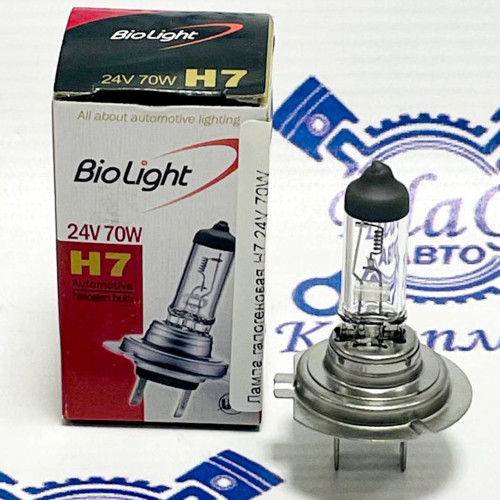 Лампа галогеновая H7 24V 70W СВВ 3424 Корея /12045